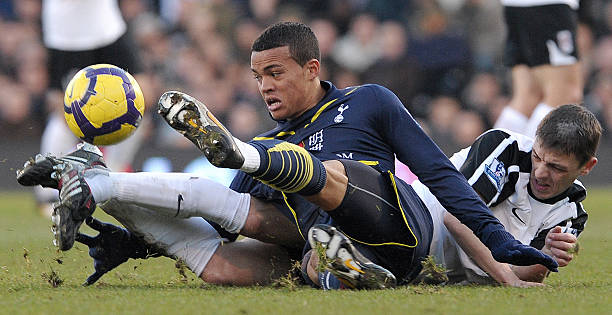 他们不仅在 他们不仅在